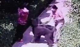 农村妇女爆料事件视频,揭露乡村生活真相